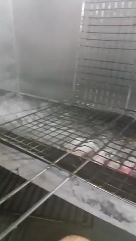 The video displays an indoor scene focused on a charcoal grill. The grill is constructed of metal with a grey, possibly stainless steel, finish. At the bottom of the grill, glowing red charcoal is visible, indicating high heat. A metal grate rests above the charcoal, and another metal rack stands vertically at the back of the grill.

Initially, the grill is seen with some smoke rising. A close-up briefly shows a single piece of what appears to be meat cooking over the hot coals. Subsequently, several skewers, each holding multiple pieces of meat, are placed across the grill, directly over the embers. As the meat cooks, a significant amount of white smoke billows upwards from the grill. The primary activity is the grilling of food over charcoal.

No people are visible in the video. There are no discernible time of day or weather cues, as the activity occurs indoors. No text is visible within the frame. The provided location context is Dali, Cyprus, though no visual elements in the video confirm this.