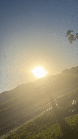 Afternoon stroll documented through Cape Town residential area