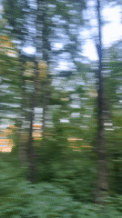 Summer afternoon activities documented across Sinyavino, Russia