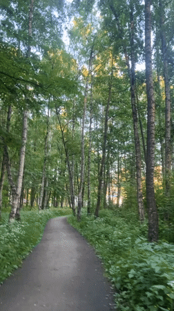 Summer afternoon activities documented across Sinyavino, Russia