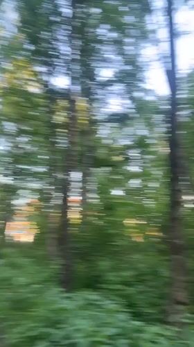Summer afternoon activities documented across Sinyavino, Russia
