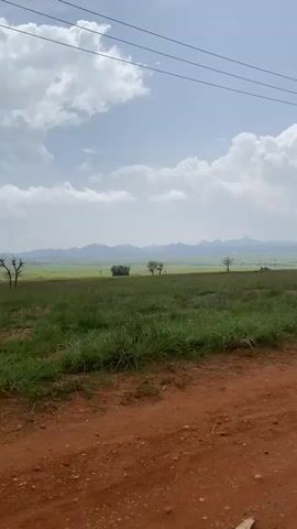 The video captures a wide view of a rural landscape under a cloudy sky. The foreground is a reddish-brown dirt road, with sparse green grass growing along its edges. Beyond the road lies a vast, flat expanse of green grassland, with some patches of drier earth. In the middle ground, several trees are scattered across the field, some appearing solitary and others in small clusters. A dark object, possibly a vehicle or structure, is visible in the far middle ground. The background is dominated by a range of distant, hazy mountains. Power lines are visible running across the top of the frame. The camera appears to be moving, possibly from a vehicle, as indicated by the slight shift in perspective and the panning motion. The overall impression is of an open, natural environment with signs of human presence in the form of power lines and a distant structure.
