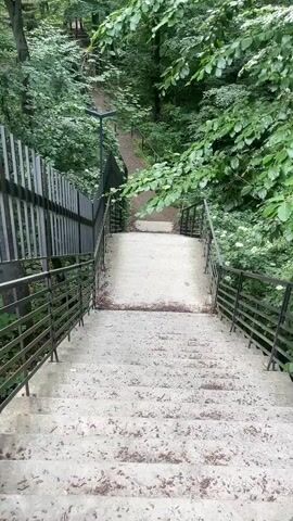 The video presents a first-person perspective descending a set of concrete stairs in a densely wooded area, identified as Kamianytsia, Ukraine.

**Subjects:** The primary subjects are the wide concrete stairs, flanked by black metal railings on both sides. A taller, solid black metal fence-like barrier runs along the left side of the upper portion of the stairs. Surrounding the stairs is a vibrant, lush green forest with numerous trees and thick foliage. A black lamppost stands on the left side of the path at the bottom of the stairs. No people are visible.

**Activity or event taking place:** The video initially provides a static, downward-looking view of the stairs. After a few seconds, the camera begins to move, simulating someone walking down the concrete steps into the wooded environment. The camera descends smoothly, offering a continuous view of the path ahead and the surrounding nature.

**Notable details:** The time of day appears to be daytime, with soft, ambient lighting suggesting either an overcast sky or a heavily shaded area beneath the tree canopy. The weather seems calm, with no visible signs of wind or precipitation, and the ground appears dry. The concrete stairs are speckled with small debris, likely fallen leaves and twigs, indicating a natural, outdoor setting. At the bottom of the main staircase, there's a flat concrete section leading to a dirt path that continues further into the forest. The dense green foliage and numerous trees emphasize the natural character of the location.

**Visible text:** There is no visible text in the video.
