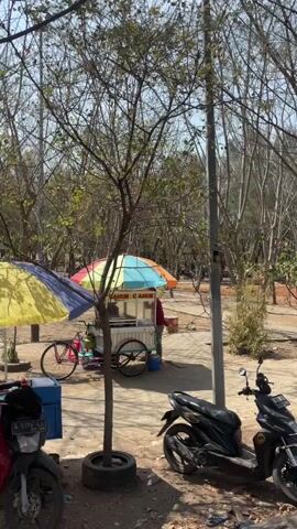 The video shows an outdoor scene with several food carts and parked motorcycles. In the foreground, a red motorcycle is parked on the left, and a black motorcycle is parked on the right. A small tree with a tire around its base stands between them. Behind the tree, a food cart with a colorful umbrella is visible, with a person attending it. Another food cart with a blue umbrella is further to the left. In the background, more trees and foliage are present, suggesting a park or a similar outdoor area. Sunlight is filtering through the trees, casting shadows on the ground. A bicycle is also visible near the food carts. The overall impression is a lively outdoor market or food stall area.