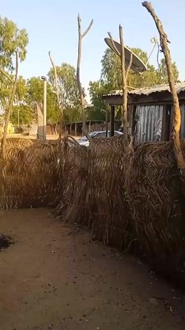 The video shows a sunlit outdoor scene, likely in a rural or semi-rural area. The camera pans across a fenced area made of dried grasses or hay.  There are wooden posts supporting the fencing.  A small pile of burnt material sits on the sandy ground inside the fence. To the left of the frame, a large black plastic water tank sits atop a concrete block structure. In the background, there are trees, buildings, a car, a satellite dish, and a distant hill or mountain range. The sky is clear and blue.