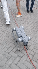 Baku Marathon 2026 features kites, robots, luxury cars