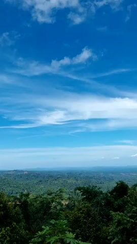 The video captures a serene vista of a lush, green forest stretching to the horizon under a vast, bright blue sky dotted with wispy, white clouds. The camera gradually pans from right to left, revealing more of the forested landscape and distant hills. In the foreground, the tops of the trees closest to the camera are clearly defined, while the landscape beyond blends into a cohesive green canopy. The sky dominates the scene, occupying a significant portion of the frame, and the clouds drift lazily, adding to the tranquility of the view.