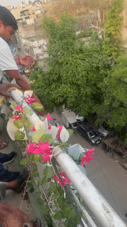 Aerial views capture crowded Delhi street scene with vehicles