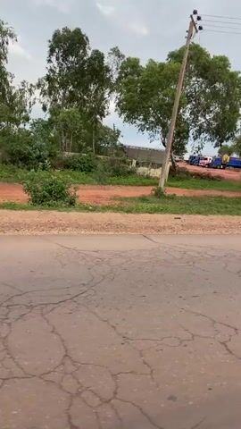 This video captures a roadside view in Mista Ali, Nigeria, on a cloudy day. The scene is characterized by a dirt road in the foreground, with a paved road to the right. Beyond the roads, there are several large trees with green foliage, some appearing to be eucalyptus. A utility pole stands tall near the left side of the frame.

In the middle ground, a reddish-brown dirt area is visible, with a small, weathered metal structure resembling a shed or shack on the right. A short bridge with concrete supports and a yellow railing crosses a shallow ditch or waterway. Further back, several large trucks are parked. These include a lime green trailer truck, several blue trucks, and some red trucks, suggesting a transportation or logistics hub. The trucks are positioned on the dirt area, with some appearing to be loaded or waiting for cargo.

The activity appears to be a moment of stillness, possibly a stop or a staging area for the trucks. The cloudy sky indicates overcast weather, which could be typical for the region. The overall mood is neutral, depicting a functional, rural or semi-rural environment. There is no visible text in the video. The presence of the trucks and the infrastructure around them points to the commercial activity of the area, likely related to transportation of goods. The landscape suggests a dry climate, given the color of the soil.