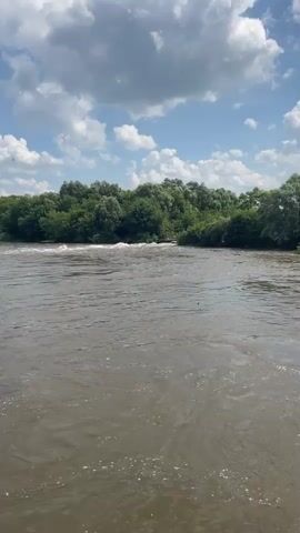A video shows a wide, murky river flowing under a blue sky with white clouds. The riverbanks are lined with dense green trees. In the center of the river, there appears to be a small, dark object floating on the water. The current is visible, creating ripples and small waves. The overall scene is natural and appears to be an outdoor environment.