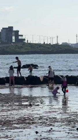 A group of people are gathered on a muddy shoreline with a breakwater of rocks separating them from the ocean. On the breakwater, a young boy in blue shorts is playing. To his left, a man in black shorts and a white shirt holds a fishing net. A person in a white shirt and pink shorts is also on the breakwater, as is a person in black shorts and a white shirt. Another person in black shorts and a white shirt is standing on the rocks. In the foreground, a young girl in a pink outfit is bent over, examining something on the ground. To her right, a person in a pink shirt and dark shorts is holding a red bucket. Further to the right, a person in a dark blue top and black pants walks away from the camera. In the background, a multi-story building with a dark facade is visible on a grassy hill overlooking the water, with several lampposts lining the road in front of it. The sky is a pale blue and hazy.
