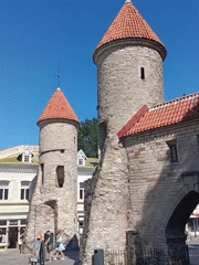 Tallinn's medieval walls and towers on a summer morning
