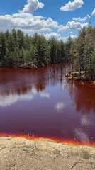 Red lake reflects summer sky deep in Bulgarian pine forest
