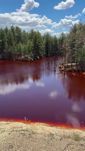 Red lake reflects summer sky deep in Bulgarian pine forest