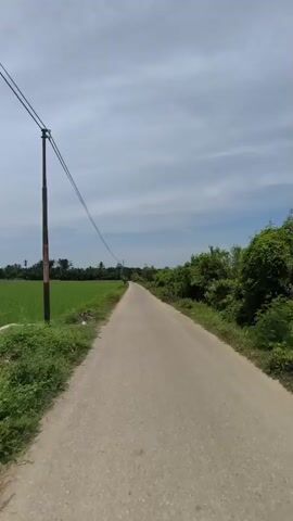 The video begins with a view of a narrow paved road stretching into the distance, flanked by lush green fields on either side. Tall electric poles with wires running across them are visible. The sky is partly cloudy with patches of blue. As the video progresses, the camera pans slightly, revealing more of the vast, verdant fields. The fields appear to be rice paddies, with irrigation channels running through them. The road curves gently, disappearing around a bend. The overall impression is of a serene, rural landscape on a bright, clear day.