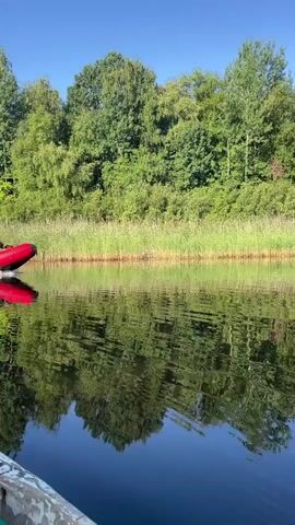 A red inflatable boat with two people on board moves from left to right across a calm body of water. The boat is powered by an outboard motor, which is creating a wake. The water reflects the lush green trees and reeds on the opposite bank, as well as the blue sky. The sun is shining, and the day appears to be warm and pleasant. The person in the front of the boat is wearing a white shirt and the person in the back is wearing a dark shirt. The boat appears to be moving at a moderate speed.