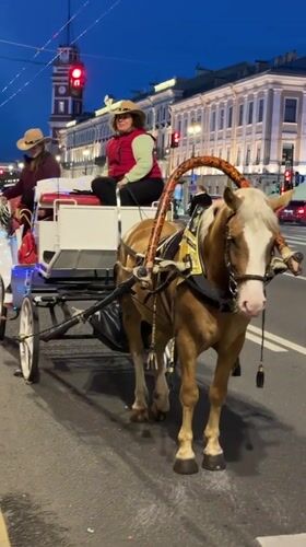 White nights evening on Nevsky Prospekt, carriages and canal life