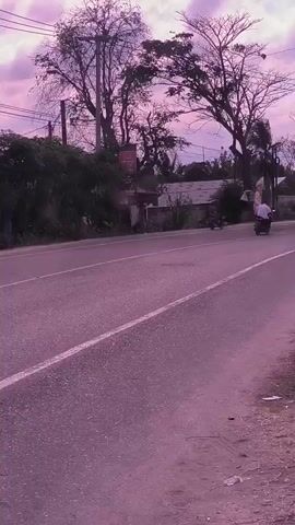 The video shows a road scene under a pinkish-purple sky with scattered clouds. Several motorcycles are driving on the road. Trees with bare branches stand tall on either side of the road. There's a building in the background and utility poles with wires stretching across the sky. A small ditch runs alongside the road, and some trash is scattered on the ground. The overall atmosphere is somewhat hazy or filtered with the dominant pink hue.