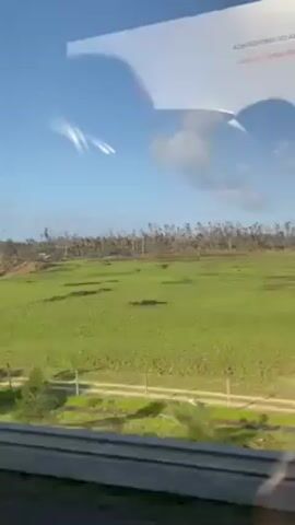 The video shows a landscape with a large, green field in the foreground, and in the background a forest area that appears to have suffered extensive damage, possibly from a storm. Many trees are broken or severely damaged. The sky is blue with some clouds. The video appears to be taken from a moving vehicle.