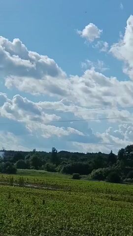 The video shows a landscape with a field of green crops in the foreground. Beyond the field, there is a line of trees and hills. The sky is blue with scattered white clouds, and there are visible power lines stretching across the frame. The camera is moving, giving a sense of a journey or drive through the countryside.