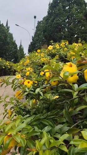 Daily life scenes documented across Da Lat, Vietnam