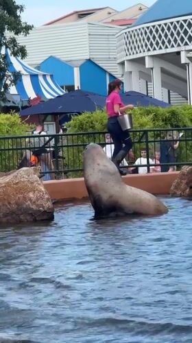 A morning at Harderwijk's marine animal park