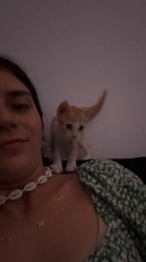 Woman with kitten on shoulder observed in Mũi Né