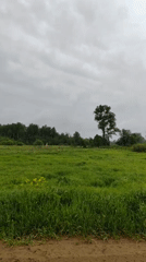 Early morning rural landscape memories captured across countryside setting