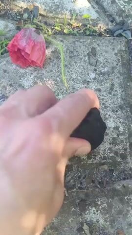 A close-up outdoor shot shows a person's hand actively breaking a piece of charcoal against a textured concrete paver. The charcoal splinters into smaller black fragments and leaves dark smudges on the gray surface. To the left of the activity, a single, somewhat withered red poppy flower with a green stem lies on the concrete. Sparse green plant growth is visible around the edges of the pavers and in the background. The scene is illuminated by natural daylight, casting subtle shadows, suggesting a bright day. The ground appears to be a paved path or patio. No text is visible. The location is Goryachevodsky, Russia.