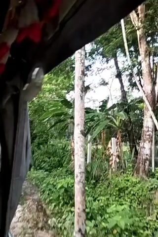 From the perspective of a moving vehicle, the video shows a lush, green environment passing by. The interior of the vehicle is decorated with colorful patterns and tassels. As the vehicle progresses, a narrow stream or canal becomes visible alongside the vegetation. The camera focuses on the colorful interior of the vehicle, briefly revealing a person's face looking directly at the camera.