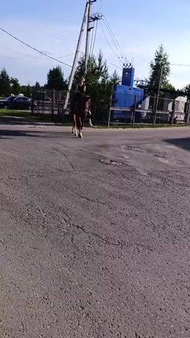 A person on horseback rides along a paved road. The person is wearing dark clothing and is holding the reins. The horse is brown and appears to be walking. There are trees and buildings in the background. The sun is shining and casting shadows. The road is in disrepair with several potholes visible.