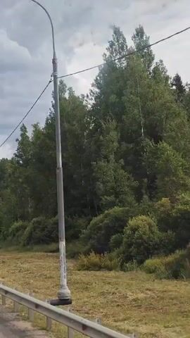 The video shows a view from a moving vehicle traveling along a road. On the right side of the road, there is a metal guardrail. Beyond the guardrail, there is a grassy area with some patches of dry, cut grass. Further back, a dense forest of trees, including birch and pine trees, can be seen. A tall lamppost with wires is also visible along the roadside. The sky is overcast with clouds. The lighting suggests it is daytime. The camera appears to be looking towards the side of the road and slightly forward.