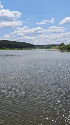 The video shows a wide shot of a calm lake under a partly cloudy blue sky. The sun glints off the water's surface, creating ripples. On the far bank of the lake, a dense line of dark green trees forms a forest. Beyond the forest, gentle hills can be seen in the distance. The overall scene is peaceful and natural.