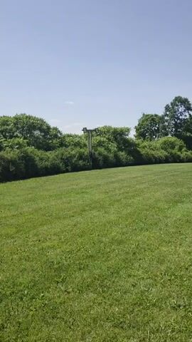 The video shows a wide shot of a grassy field on a clear day. In the background, there is a dense line of green trees and bushes. A tall, thin pole with some equipment at the top is visible in the middle of the trees. The camera pans slightly to the right, revealing more of the tree line and the distant landscape, which also appears to be covered in trees and greenery. The sky is a clear, bright blue. There are no people or animals visible in the video. The overall scene depicts a natural, outdoor environment.