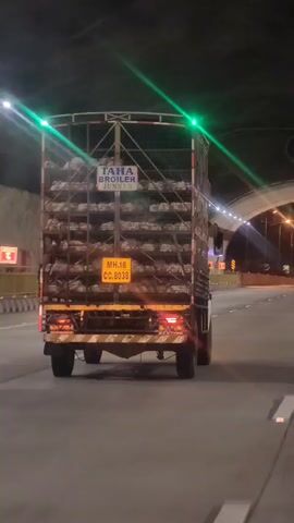 A truck is driving through a tunnel at night. The truck is carrying chickens in cages stacked on its sides. The truck has a license plate that reads "MH 16 CC.8038". There are green lights on the top of the truck. The tunnel walls are visible, and there is lighting inside the tunnel. The road surface is visible. The video is shot from behind the truck.