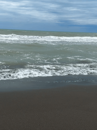Overcast morning beach scenes captured in Poti, Georgia