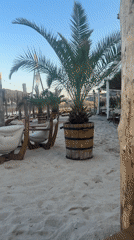 Laid-back afternoon at a Kranevo beach bar