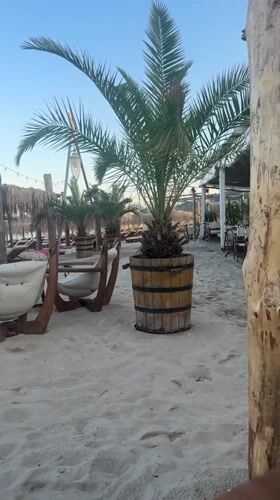 Laid-back afternoon at a Kranevo beach bar
