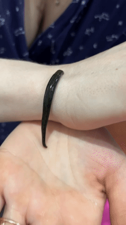 Person handles leech, works puzzle in Rusalevka home