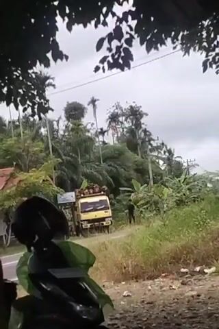 A yellow truck is parked on the side of a road, loaded with what appears to be produce. A person is standing next to the truck. The scene is rural with lush vegetation, including palm trees and banana trees. The sky is overcast. In the foreground, a portion of a motorcycle is visible.