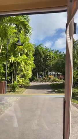The video is shot from the perspective of someone riding in a golf cart. The golf cart is moving along a paved path through a tropical environment. Lush green palm trees and other foliage line the path on both sides. In the background, there are glimpses of buildings and mountains. The sky is blue with scattered white clouds, and the sun is shining, casting shadows on the path. There are no people visible in the video. The golf cart has a tan roof and a clear plastic windshield. A light fixture hangs from the roof of the golf cart. There are also streetlights with solar panels visible along the path.