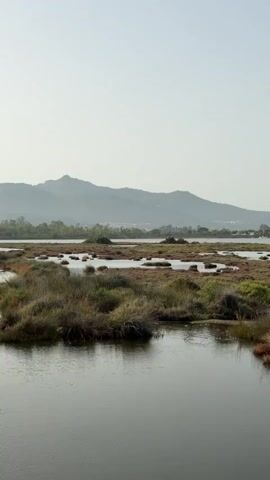 A wide shot of a marshland with water and vegetation. In the distance, there are mountains under a hazy sky. The camera pans slowly to the right.