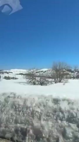 The video depicts a snowy landscape viewed from a car window on a bright, sunny day. The sky is clear and blue. The ground is covered in a thick layer of snow, and there are some small hills in the distance, also covered in snow. Sparse, bare trees dot the landscape. The video is taken from a moving vehicle, and the edge of the road is visible in the foreground, lined with snow. Music is playing in the background.
