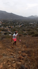 Evening hillside gathering overlooks town as crowds enjoy music below
