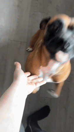 Domestic life moments captured in Chaikovsky, Russia