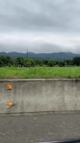 A video taken from a moving vehicle shows a side view of a rural landscape. In the foreground, a concrete barrier is visible, with some faint markings on its surface. Beyond the barrier, a stretch of bright green grass runs horizontally across the frame, with a thin metal railing separating it from the next section of the scene. Further back, a dense forest of lush green trees occupies the midground. In the distance, rolling hills covered in trees recede into the horizon, shrouded in a misty haze. The sky above is overcast with heavy gray clouds, suggesting a cloudy or possibly rainy day. The overall impression is one of a scenic drive through a natural environment. There are no people or discernible animals in the video.