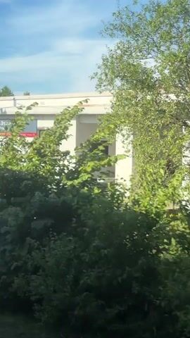 The video shows a view from a moving vehicle. The scene is rural, with trees, grass, and a few houses visible. The first frame shows a concrete pole and a building. The second frame shows trees, a greenhouse, and a person walking away from the camera. The third frame shows more trees. The fourth frame shows the side of a house with a red tiled roof and a window. The fifth frame shows trees and a speed limit sign. The sun is shining and the sky is blue with some clouds. The overall impression is of a quiet, sunny day in the countryside.