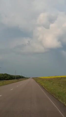 A POV shot from a vehicle traveling down a straight asphalt road. The road has white lane markings and is in good condition with some tire marks visible on the right side. The surrounding landscape is rural, with a line of trees on the left and a vibrant yellow field, possibly canola, on the right. Utility poles with wires are visible along the left side of the road. The sky is filled with dramatic, dark gray clouds, suggesting an impending storm, with patches of lighter clouds and blue sky visible in the distance. The overall atmosphere is somewhat ominous but also awe-inspiring due to the dramatic sky.