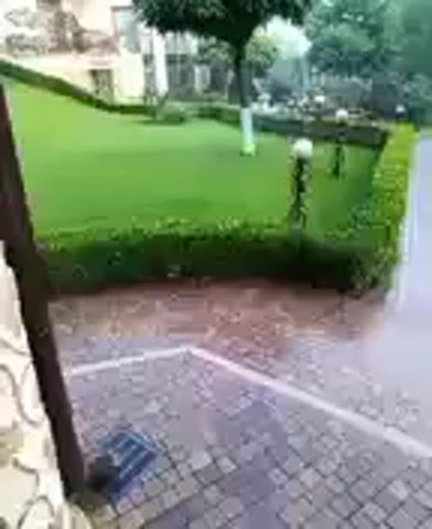 The video shows a cobblestone pathway in front of a meticulously manicured lawn bordered by a hedge. The lawn features several decorative globe-shaped lights on stands and a tree with white-painted trunks. Beyond the lawn, there is a building and more trees, suggesting an outdoor setting like a garden or park. The ground, particularly the pathway, is wet, indicating that it is raining or has recently rained. The overall impression is one of a well-maintained outdoor space experiencing inclement weather.