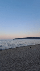 Sunset beach scene with birds and contrail documented